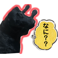 [LINEスタンプ] はる スマイル
