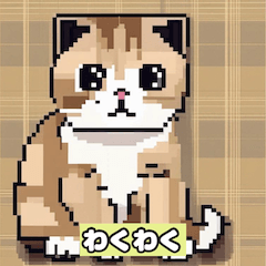 [LINEスタンプ] かわいい猫のエモーション