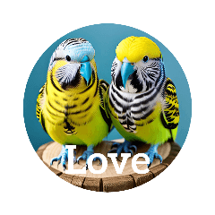 [LINEスタンプ] セキセイインコ budgie.