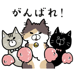 [LINEスタンプ] もこもこフィフィと愉快な子猫たち