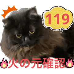 [LINEスタンプ] 黒猫 ルナ院長119にゃんめ