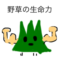 [LINEスタンプ] 強く生きる植物たちの物語