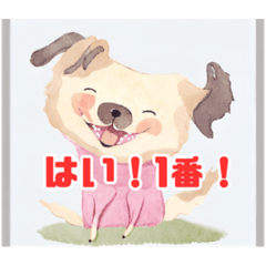 [LINEスタンプ] わんちゃんスタンプfrom AMSRR