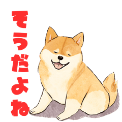 [LINEスタンプ] 柴犬（しばいぬ）スタンプです