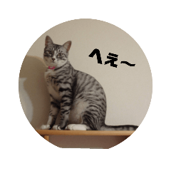 [LINEスタンプ] 癒しの雑種猫シリーズ