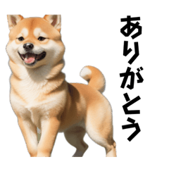 [LINEスタンプ] 渋い子犬の画像（メイン）