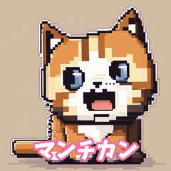 [LINEスタンプ] 猫の種類スタンプ