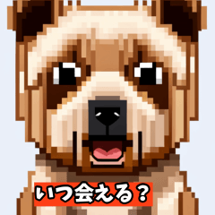 [LINEスタンプ] 可愛いわんこステッカー