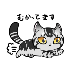 [LINEスタンプ] こめのねこスタンプ