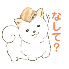 [LINEスタンプ] パン好き北海道犬スタンプ