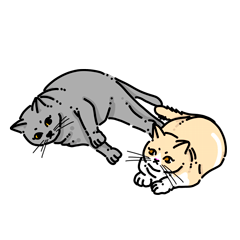 [LINEスタンプ] mumu＆latte