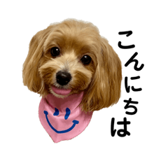 [LINEスタンプ] きなこなまいにち