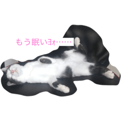 [LINEスタンプ] ワタシの生き様♡