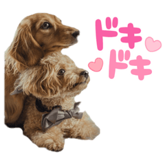 [LINEスタンプ] ぴぴぽぽスタンぷぅ