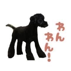 [LINEスタンプ] うちのペット3 黒いトイプードル