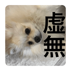 [LINEスタンプ] こてちゃんのスタンプ2