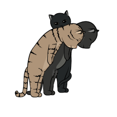 [LINEスタンプ] 猫三兄弟の日常