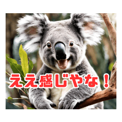 [LINEスタンプ] 究極の動物1 関西弁Ver