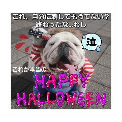 [LINEスタンプ] 中年女子犬❤️おもちAround 40 dog omochi