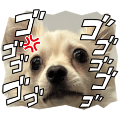 [LINEスタンプ] ポメチワのUruくん(5)