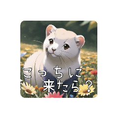 [LINEスタンプ] ふわもこ！フェレット・フレンズ