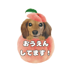 [LINEスタンプ] ミニチュアダックスNoaちゃんすたんぷ②