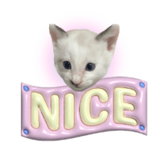 [LINEスタンプ] nivi