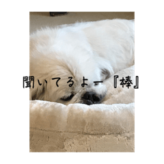 [LINEスタンプ] ペチュ2の画像（メイン）