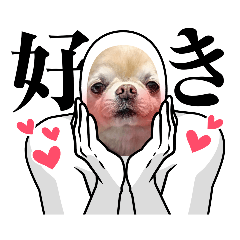 [LINEスタンプ] のりまめスタンプ3