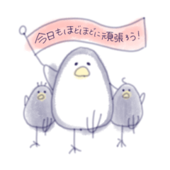 [LINEスタンプ] シロハラクイナ【西表島で使えるスタンプ】