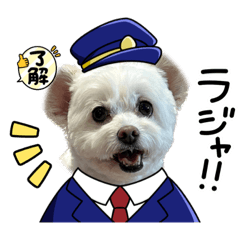 [LINEスタンプ] ころたんだよ