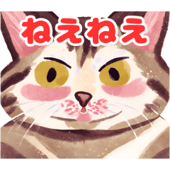 [LINEスタンプ] はっぴーにゃーにゃー