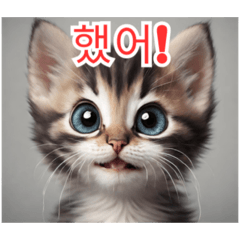 [LINEスタンプ] 새끼 고양이 스탬프2