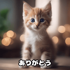 [LINEスタンプ] 子猫の笑顔スタンプ