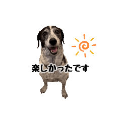 [LINEスタンプ] 麗しの麗子ちゃん