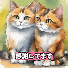 [LINEスタンプ] 三毛猫スタンプ16