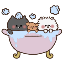 [LINEスタンプ] ポメラニアンとトイプードルの日常スタンプ