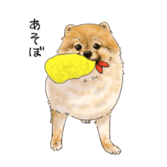 [LINEスタンプ] ポメラニアンのこうのすけ