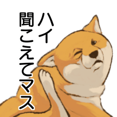 [LINEスタンプ] 連絡用柴犬