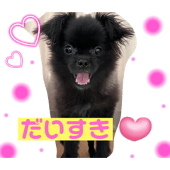 [LINEスタンプ] チョコちゃん スタンプ1