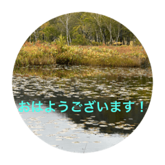 [LINEスタンプ] 秋バージョン5