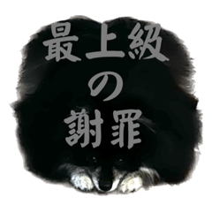 [LINEスタンプ] 黒モフ4