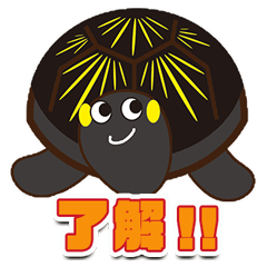 [LINEスタンプ] フロリダハコガメ 使えるスタンプ1