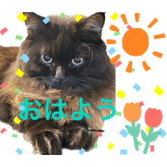 [LINEスタンプ] 黒猫 ルナ院長121にゃんめ