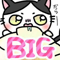 [LINEスタンプ] [BIG]福を呼ぶ！！かぎしっぽねこ大ちゃん