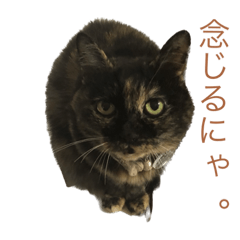 [LINEスタンプ] 毛玉ハウスへようこそ