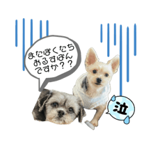 [LINEスタンプ] りんくとかいじ りんくさんバージョン 犬