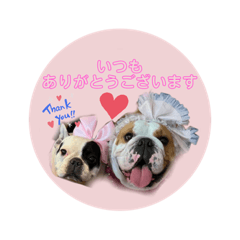 [LINEスタンプ] らぶちゃんぱーちゃんぷりちゃん
