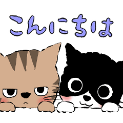 [LINEスタンプ] Neko Neko スタンプ (ネガ＆ポジ)