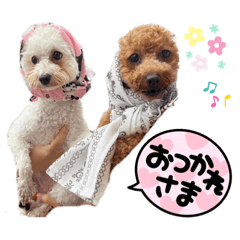 [LINEスタンプ] そらとれみの画像（メイン）